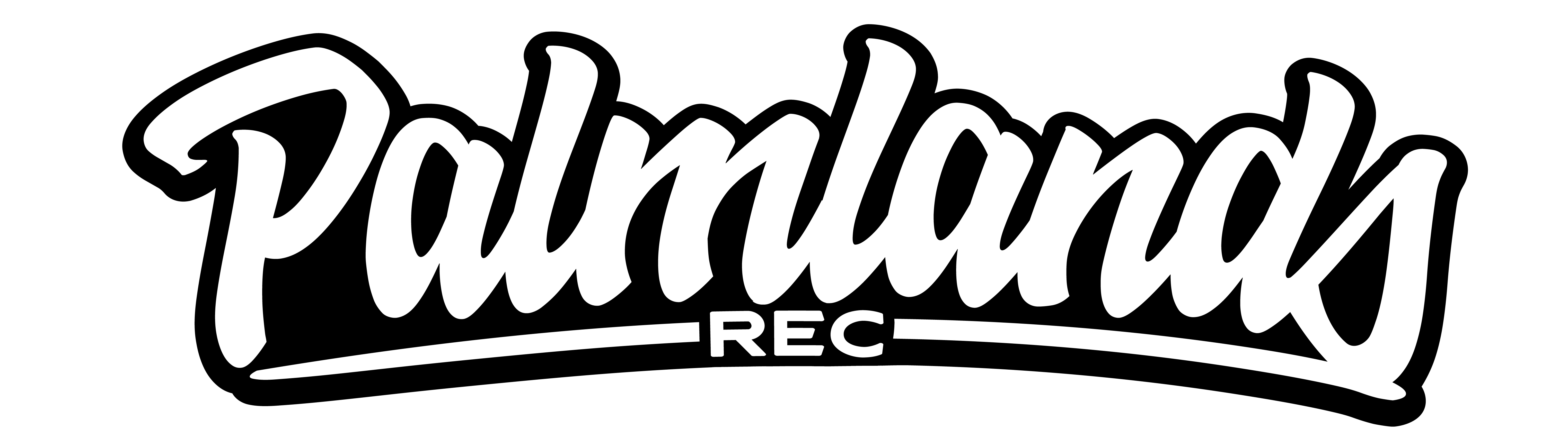 Palmlands Records Tech House Label Logo