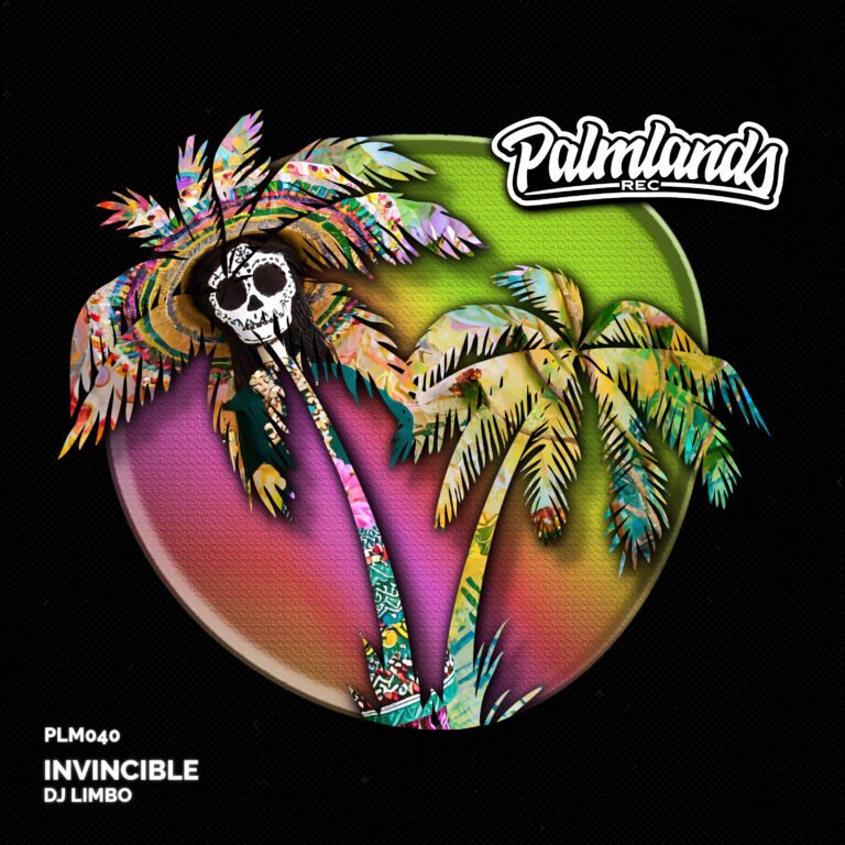 DJ Limbo - Invincible Cover