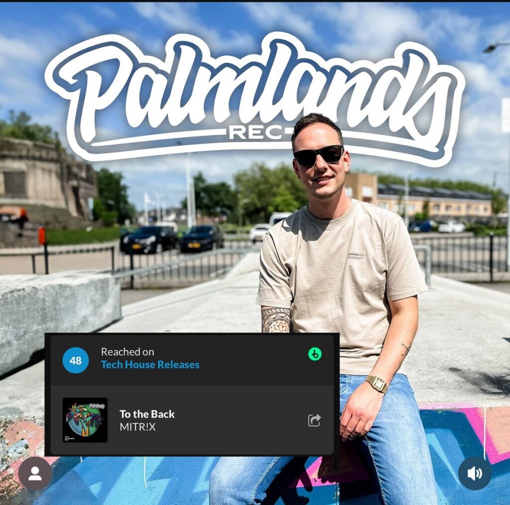 Mitrix Palmlands Records Charts