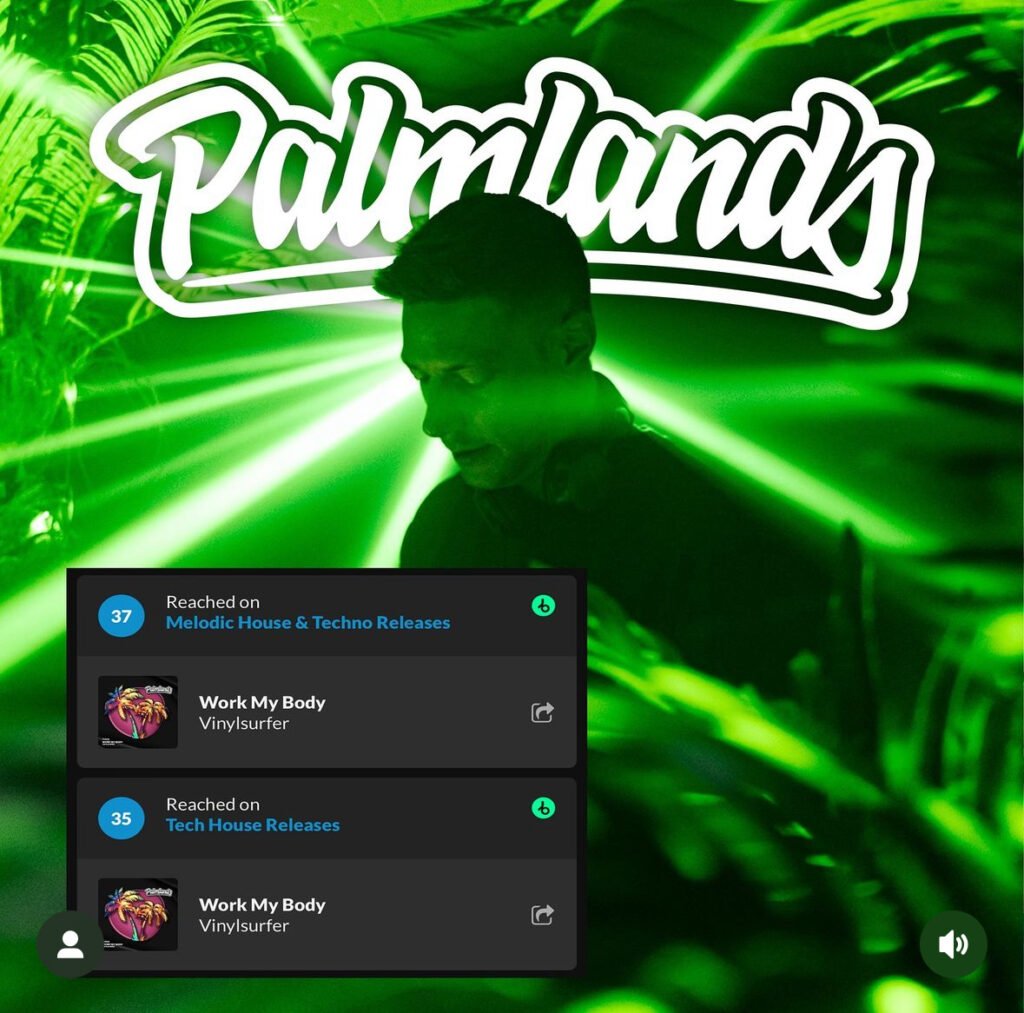 Vinylsurfer Palmlands Records Beatport Chart Position