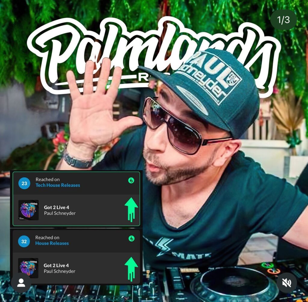 Paul Schneyder Palmlands Records Beatport Charts