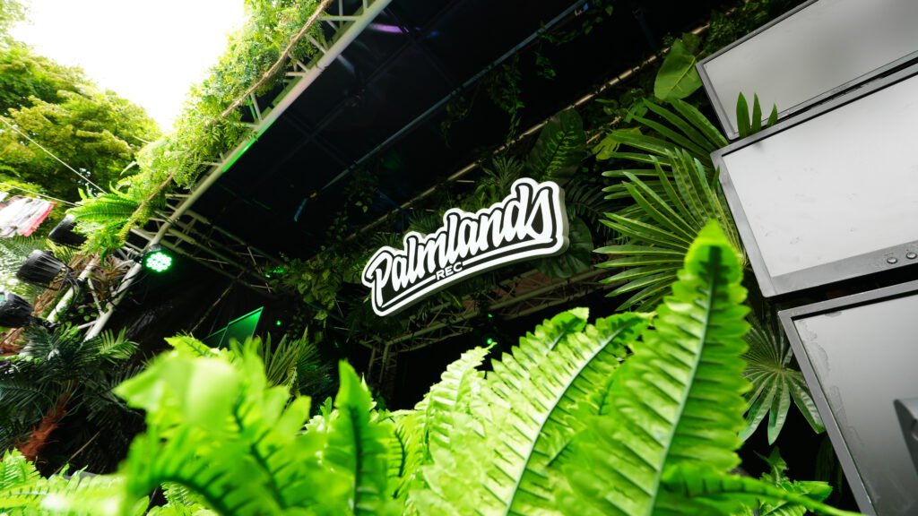 Palmlands Records Floor