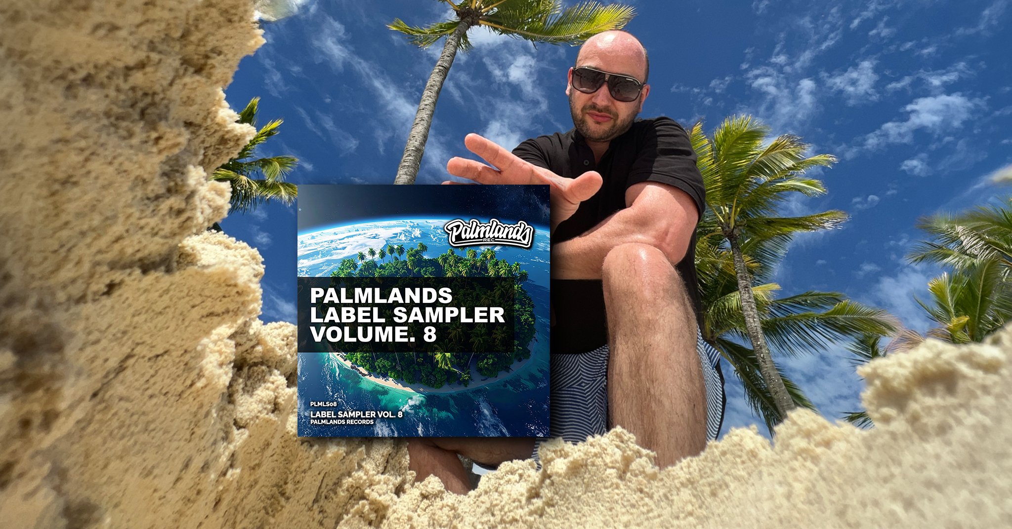 Label Sampler Volume 8 on Palmlands Records