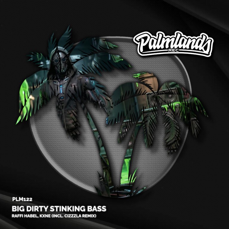 kxne & Raffi Habel new Bass House on Palmlands Records