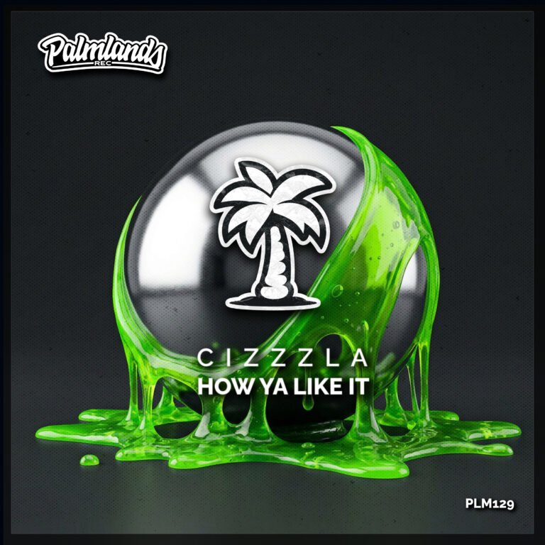Cizzzla - How Ya Like It