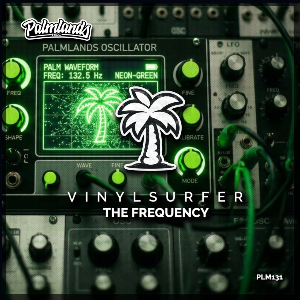 Vinylsurfer - The Frequency Artwork