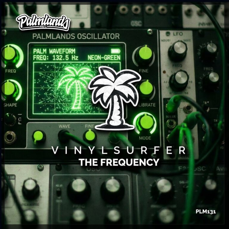 Vinylsurfer - The Frequency Artwork